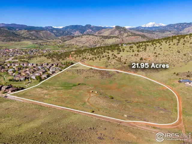a view of a field with a tree