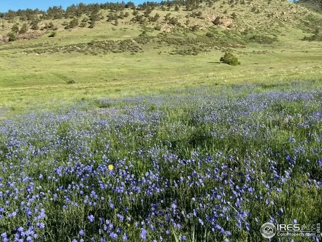 a black and white photo of a building