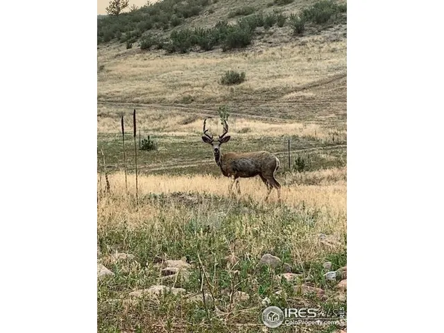 a view of a lake view