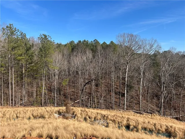 $559,900 | 138 Shale Drive, Central, SC 29630