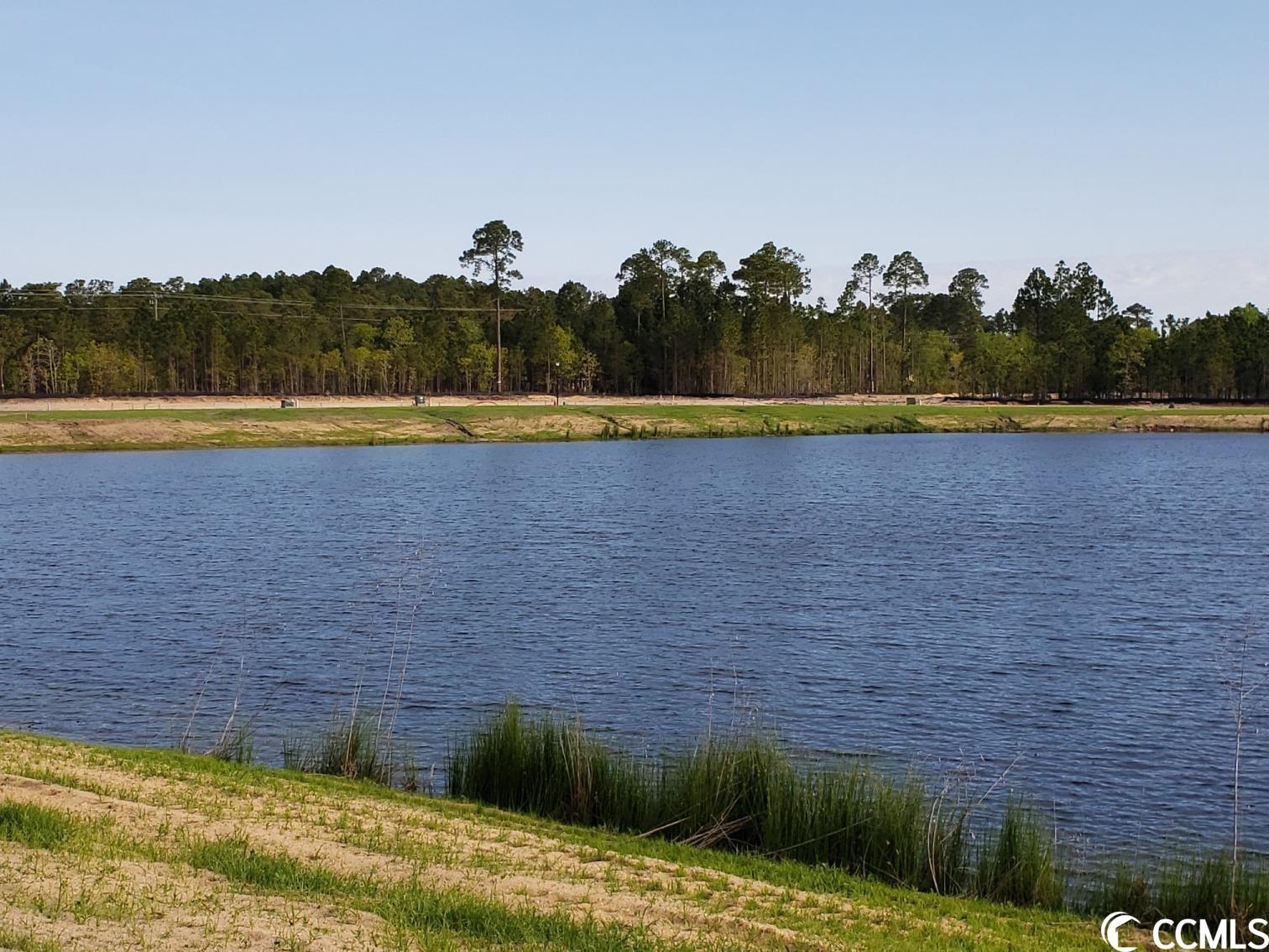 3501 Bells Lk Circle Longs, SC 29568 - Photo 29 of 31