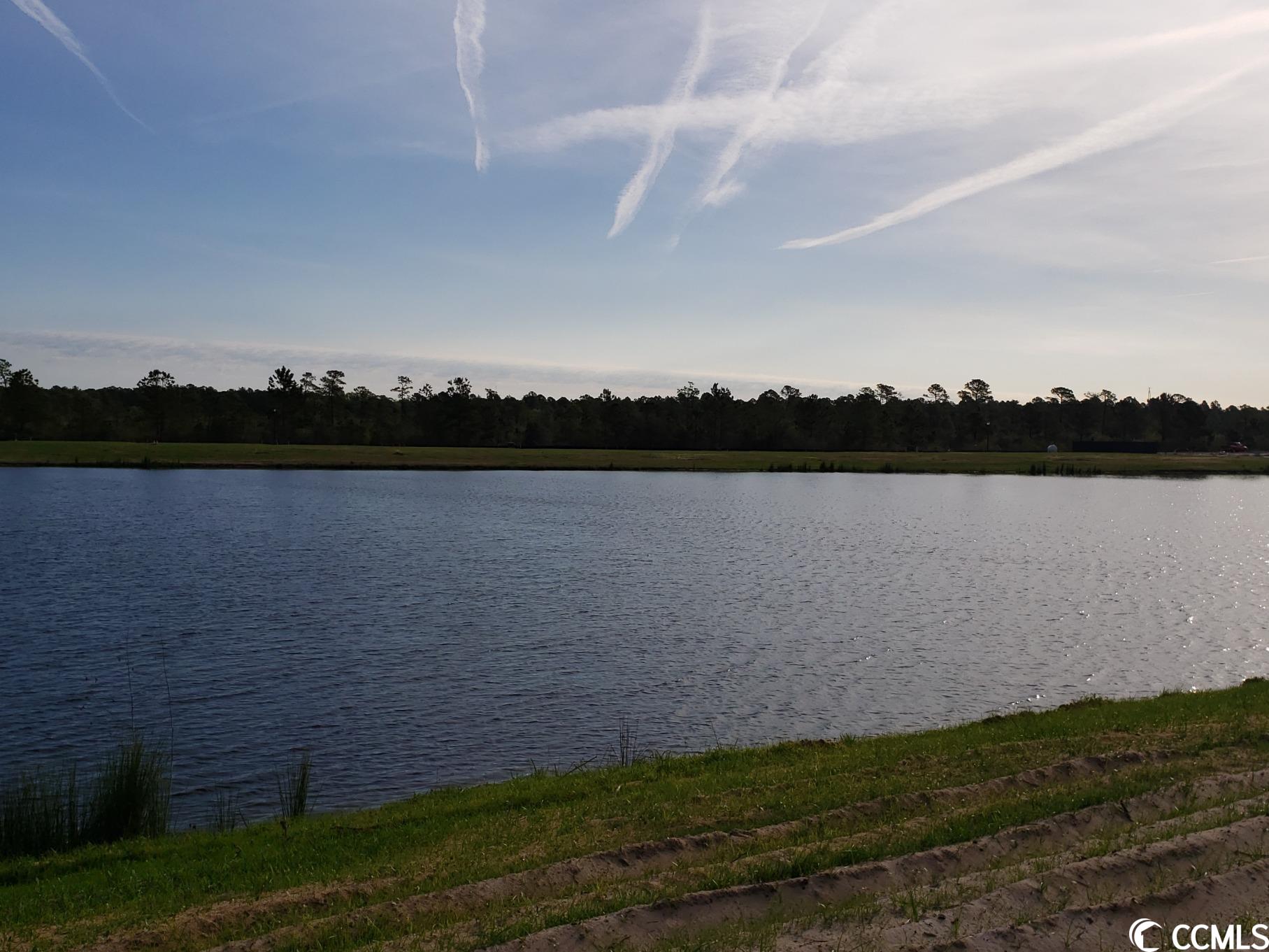 3501 Bells Lk Circle Longs, SC 29568 - Photo 30 of 31