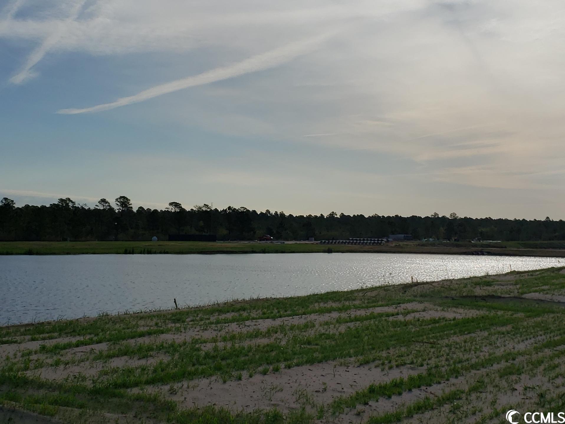 3501 Bells Lk Circle Longs, SC 29568 - Photo 31 of 31