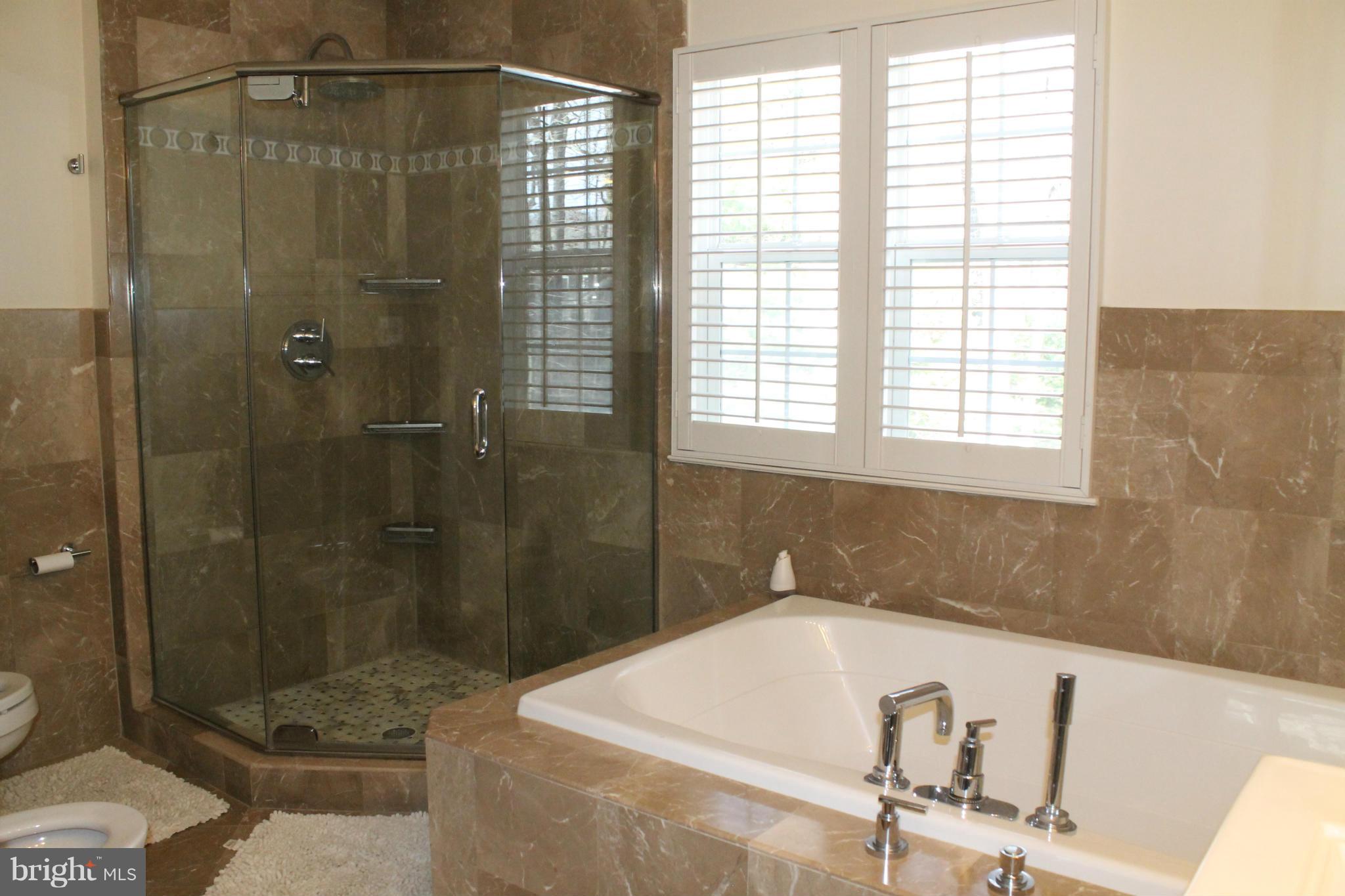17601 Norwood Road Sandy Spring, MD 20860 - Photo 17 of 26 Bath (Master)
