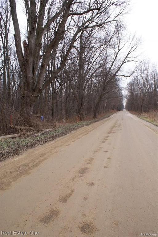 1 Gray Road Lapeer, MI 48446 - Photo 9 of 18