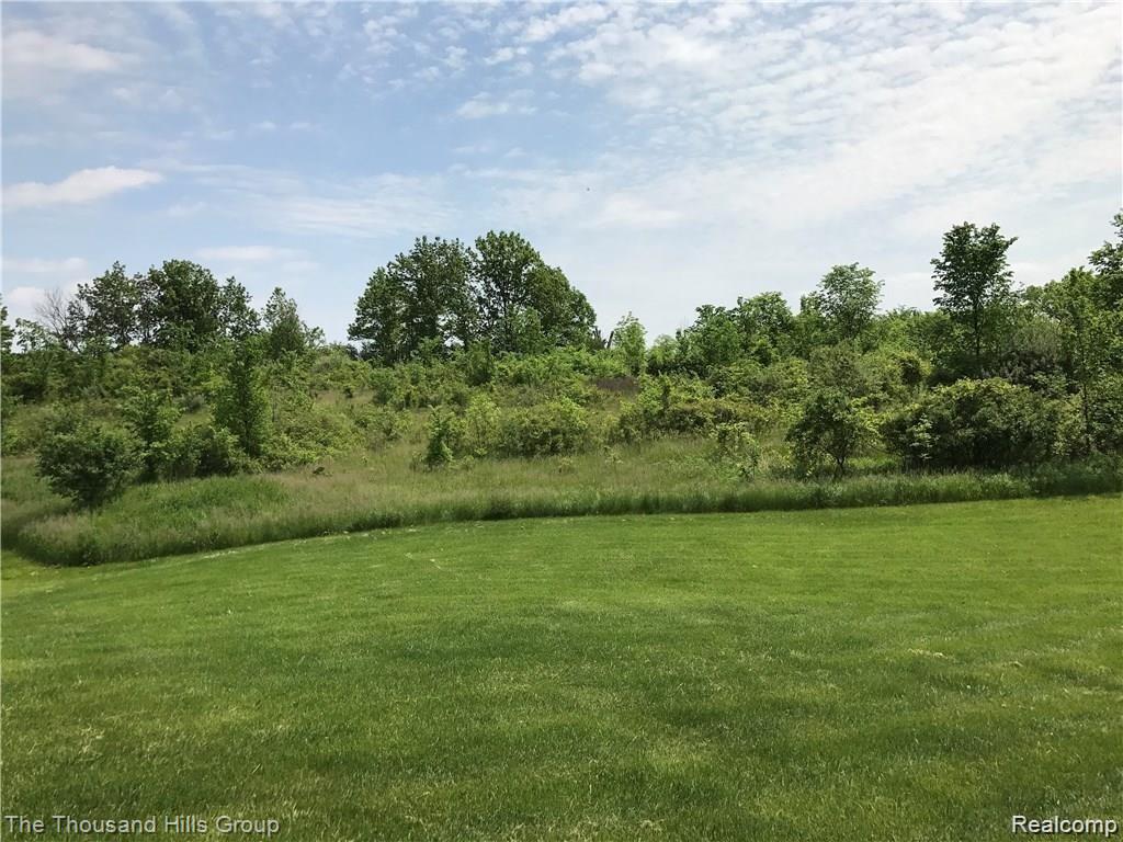 0 Warren Road Plymouth, MI 48170 - Photo 3 of 10 Warren Rd Pic 4.jpg