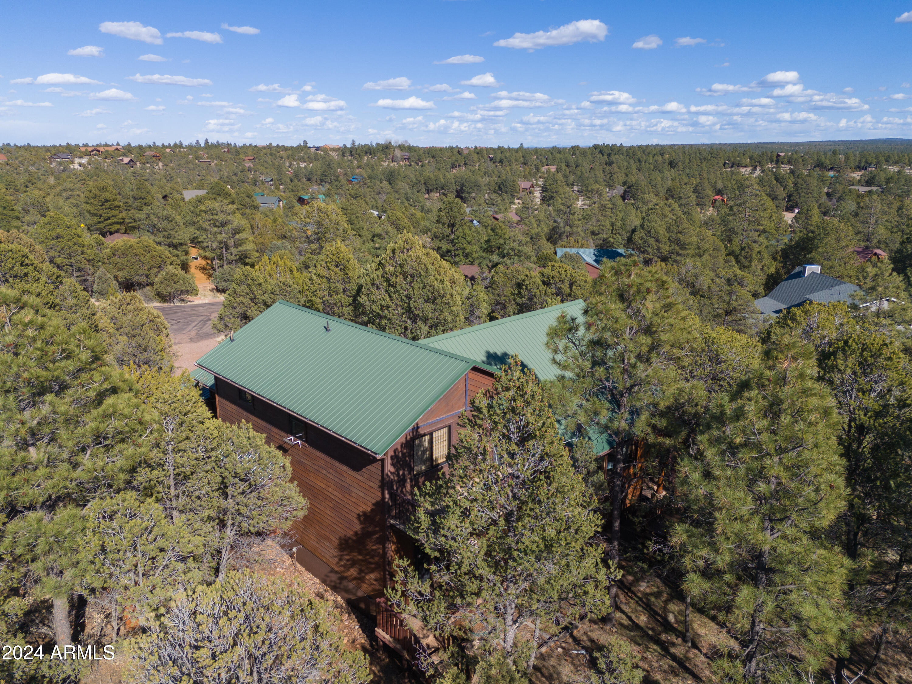 2233 Par Place Overgaard, AZ 85933 - Photo 31 of 32 paxmanphotography--2