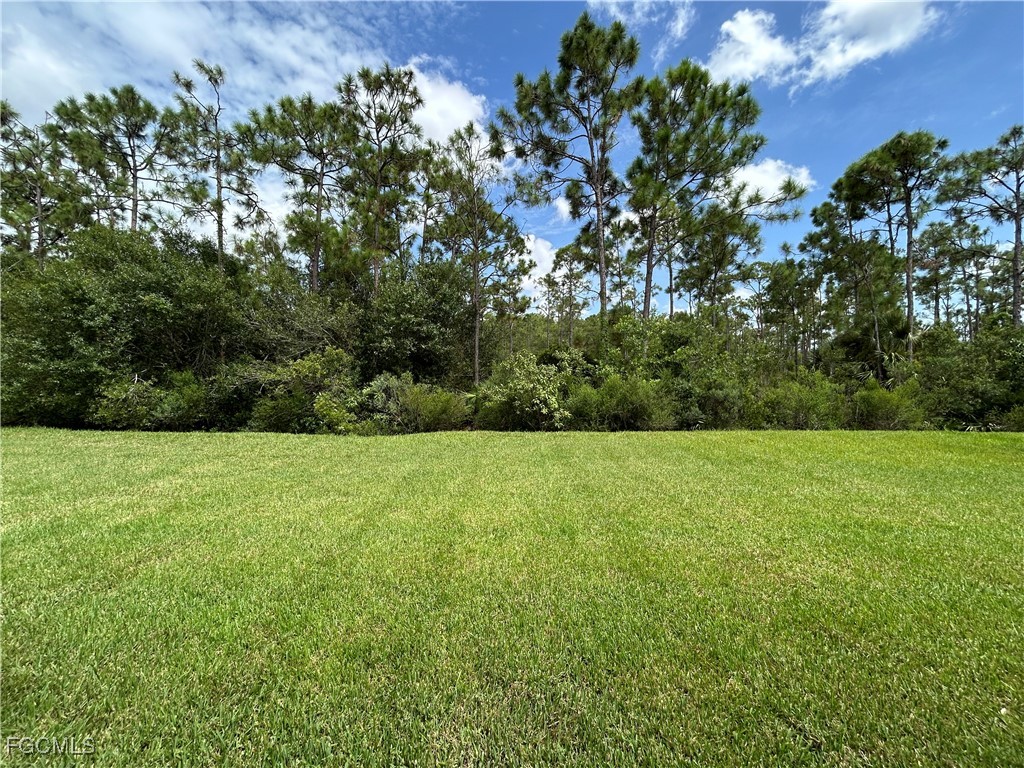 8963 Water Tupelo Road Fort Myers, FL 33912 - Photo 5 of 37 a view of a yard with a tree