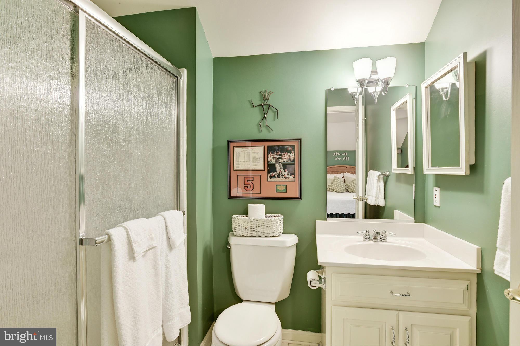 293 Bell Road Westminster, MD 21158 - Photo 18 of 28 Bath (Master)