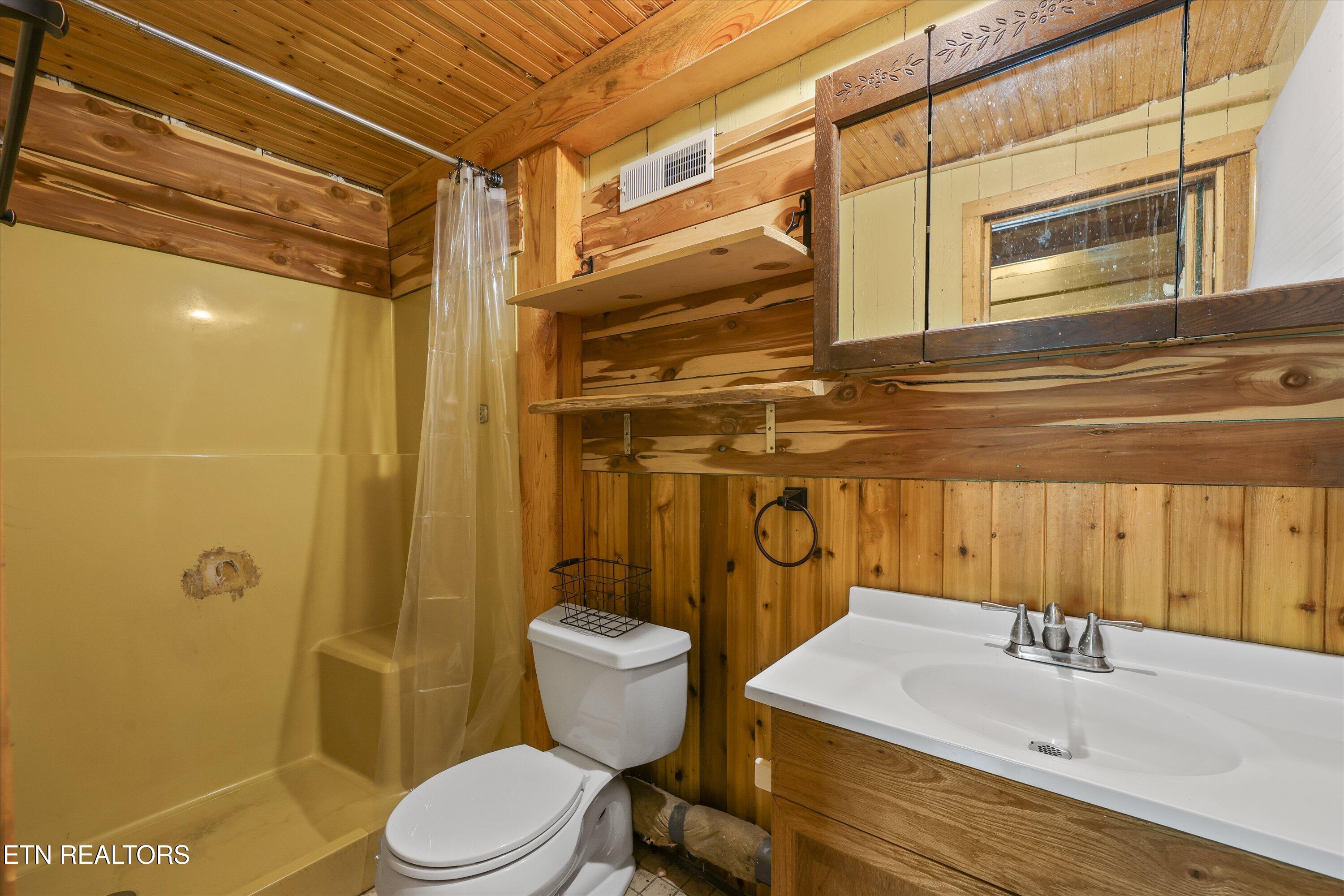 107 Mt Luke Road Townsend, TN 37882 - Photo 27 of 41 Bathroom / Basement