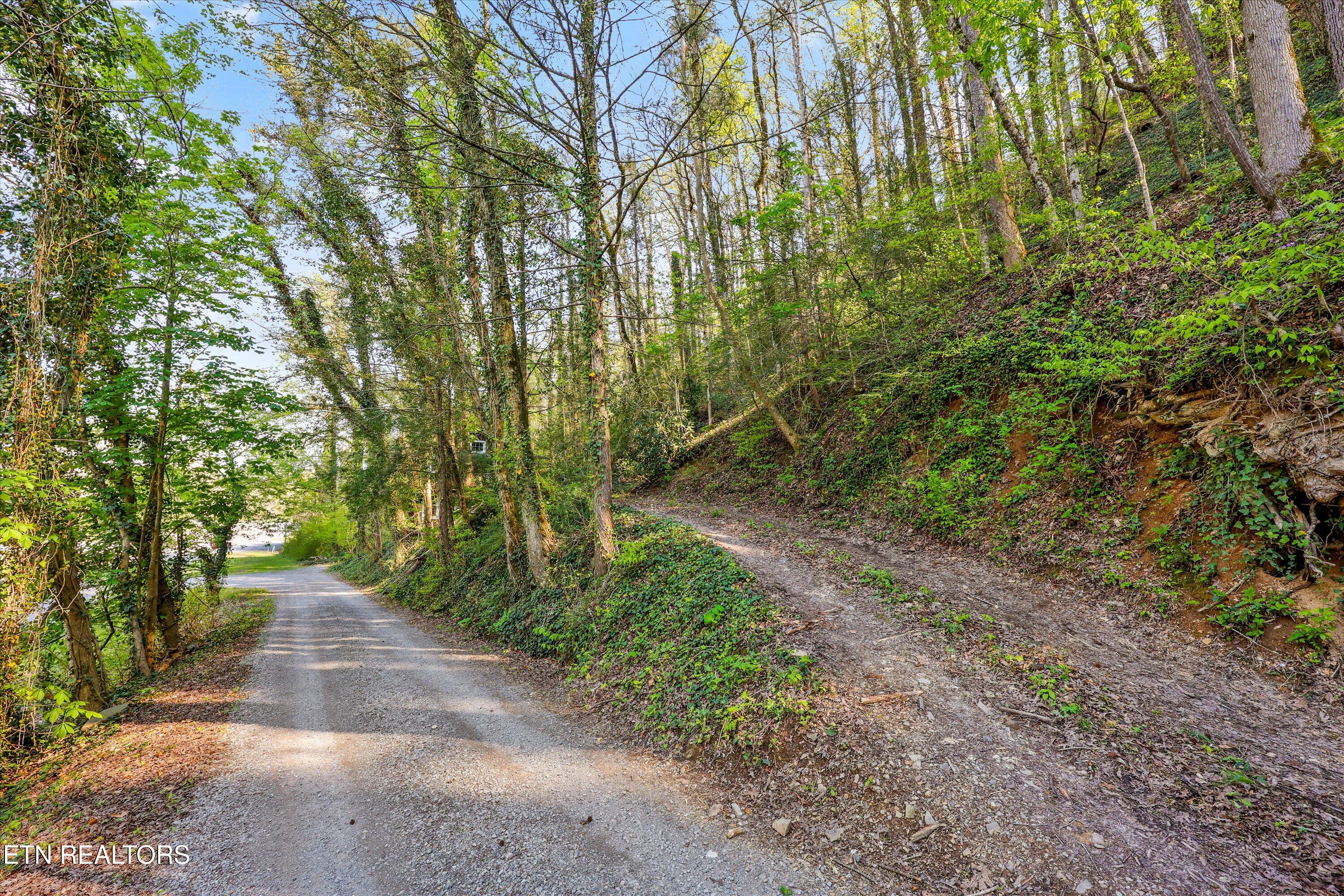 107 Mt Luke Road Townsend, TN 37882 - Photo 35 of 41 Road / Driveway