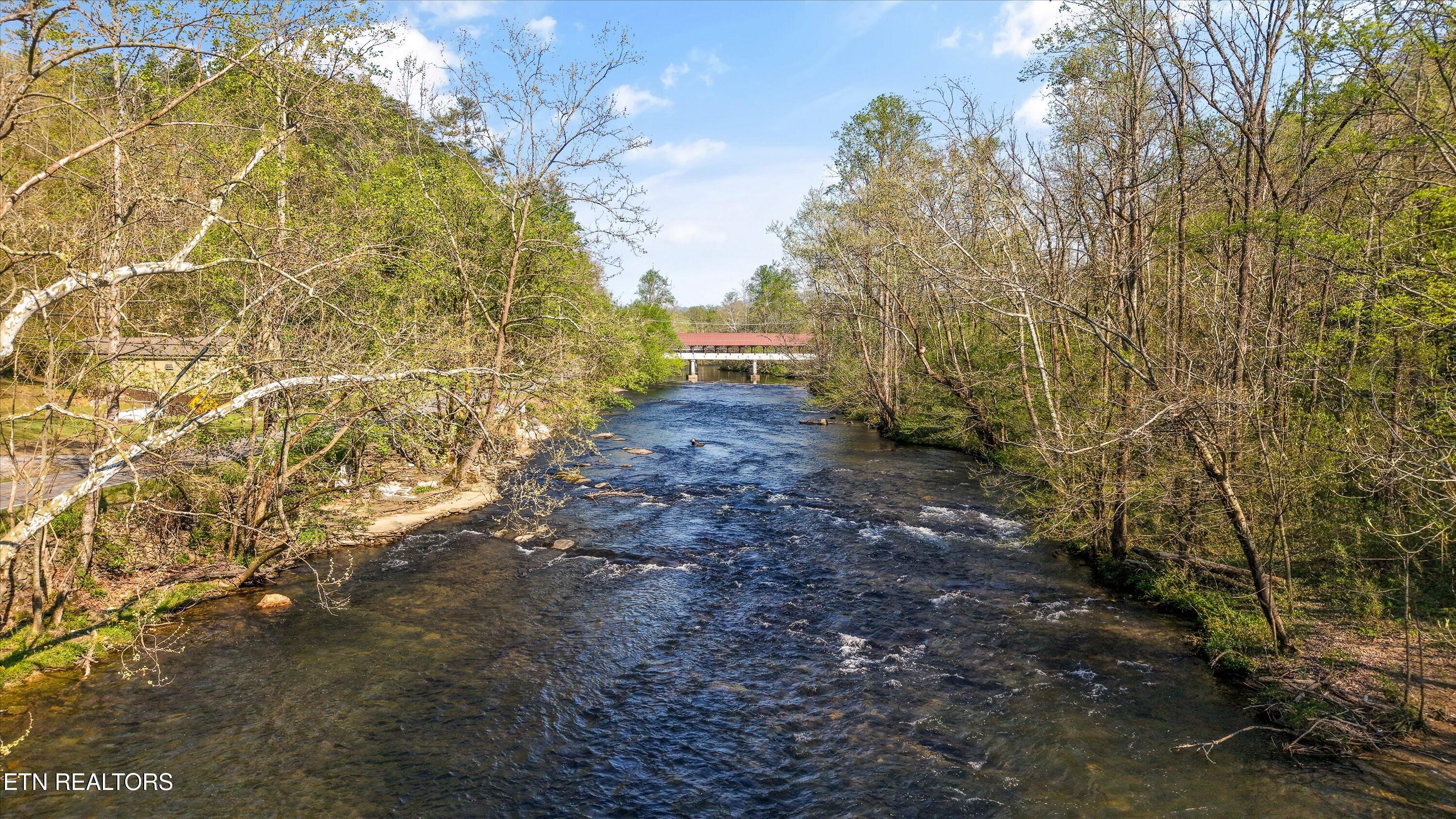 107 Mt Luke Road Townsend, TN 37882 - Photo 37 of 41 Directly across the street