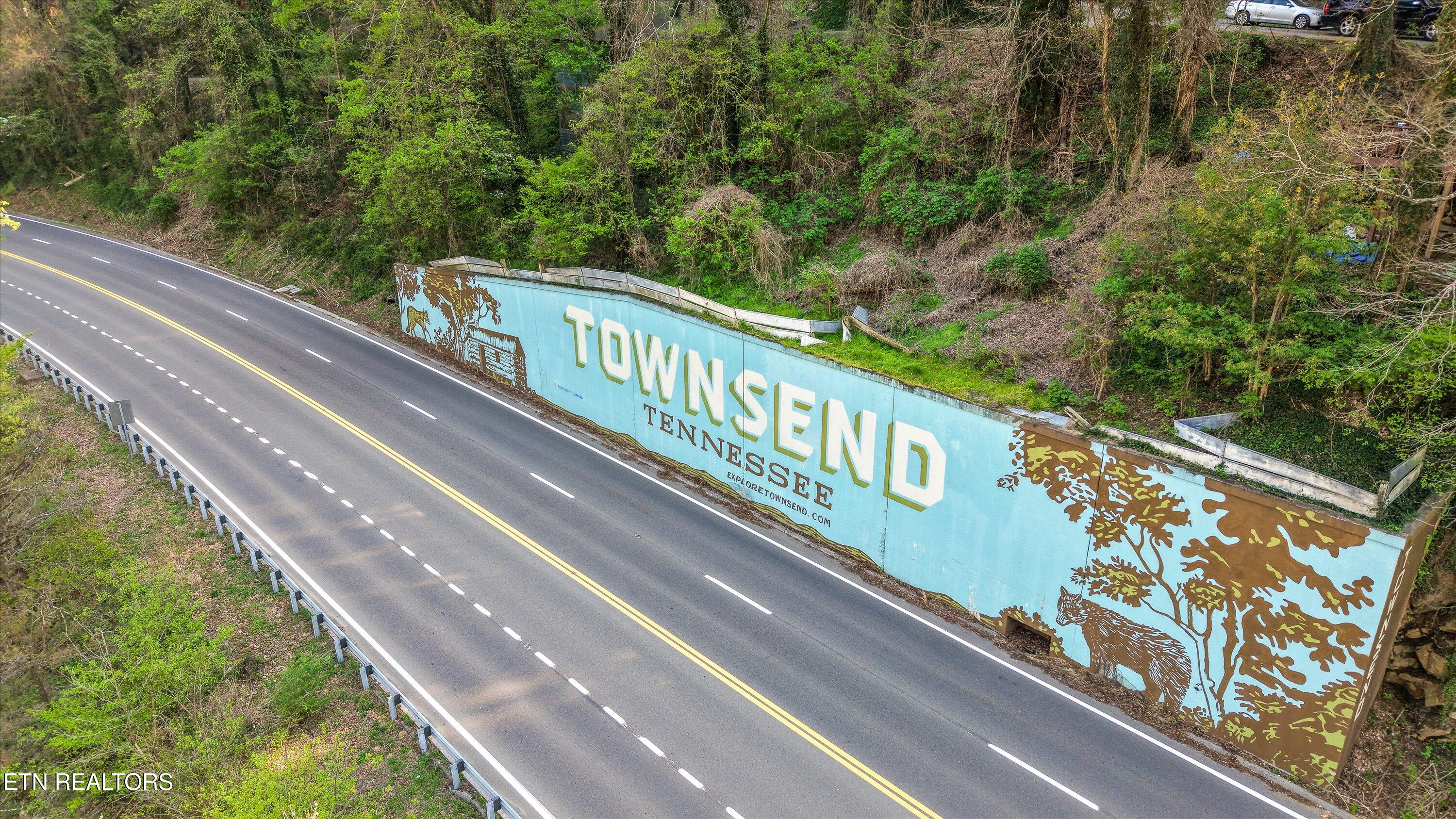 107 Mt Luke Road Townsend, TN 37882 - Photo 38 of 41 Aerial View