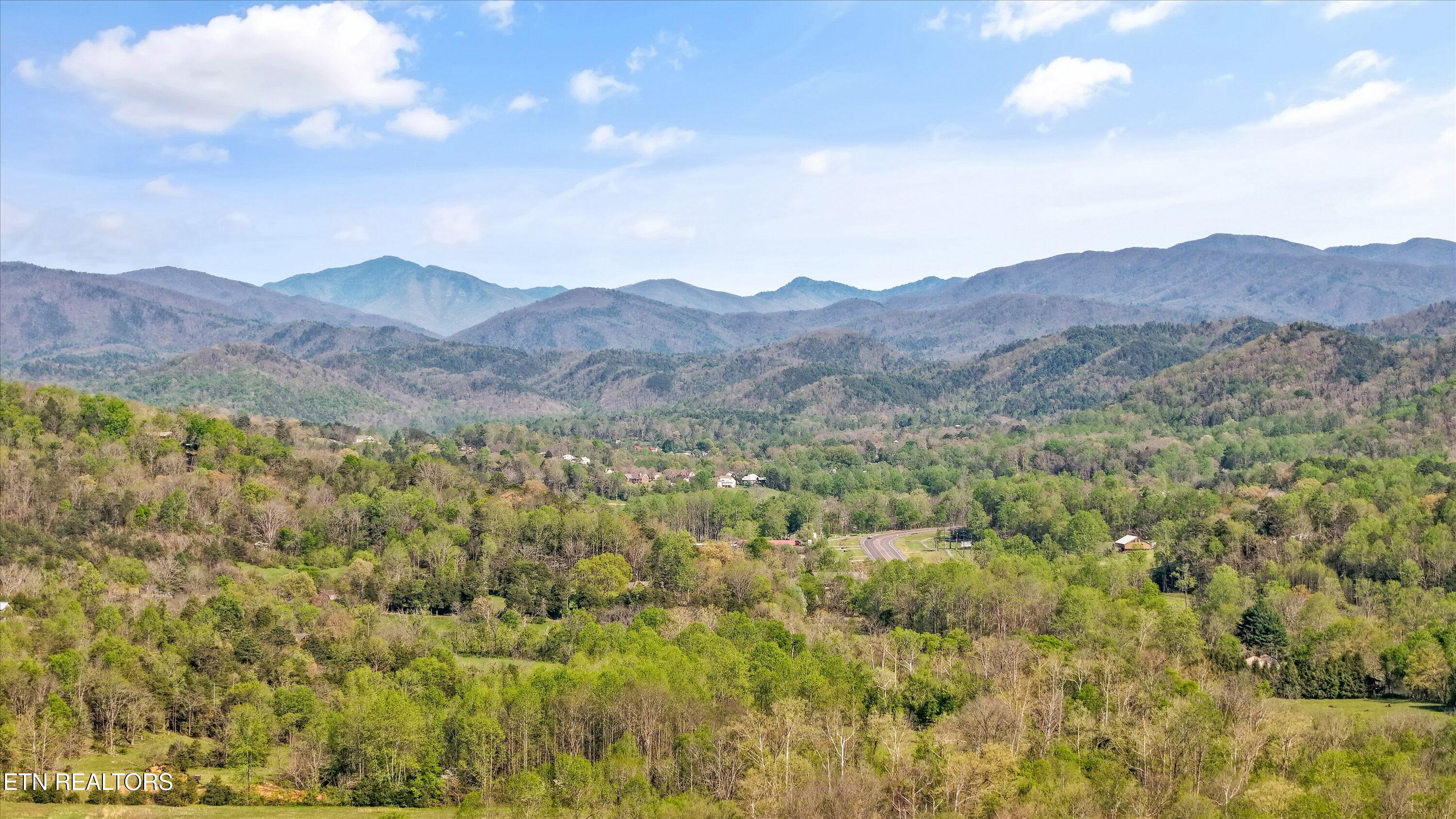 107 Mt Luke Road Townsend, TN 37882 - Photo 40 of 41 Aerial View