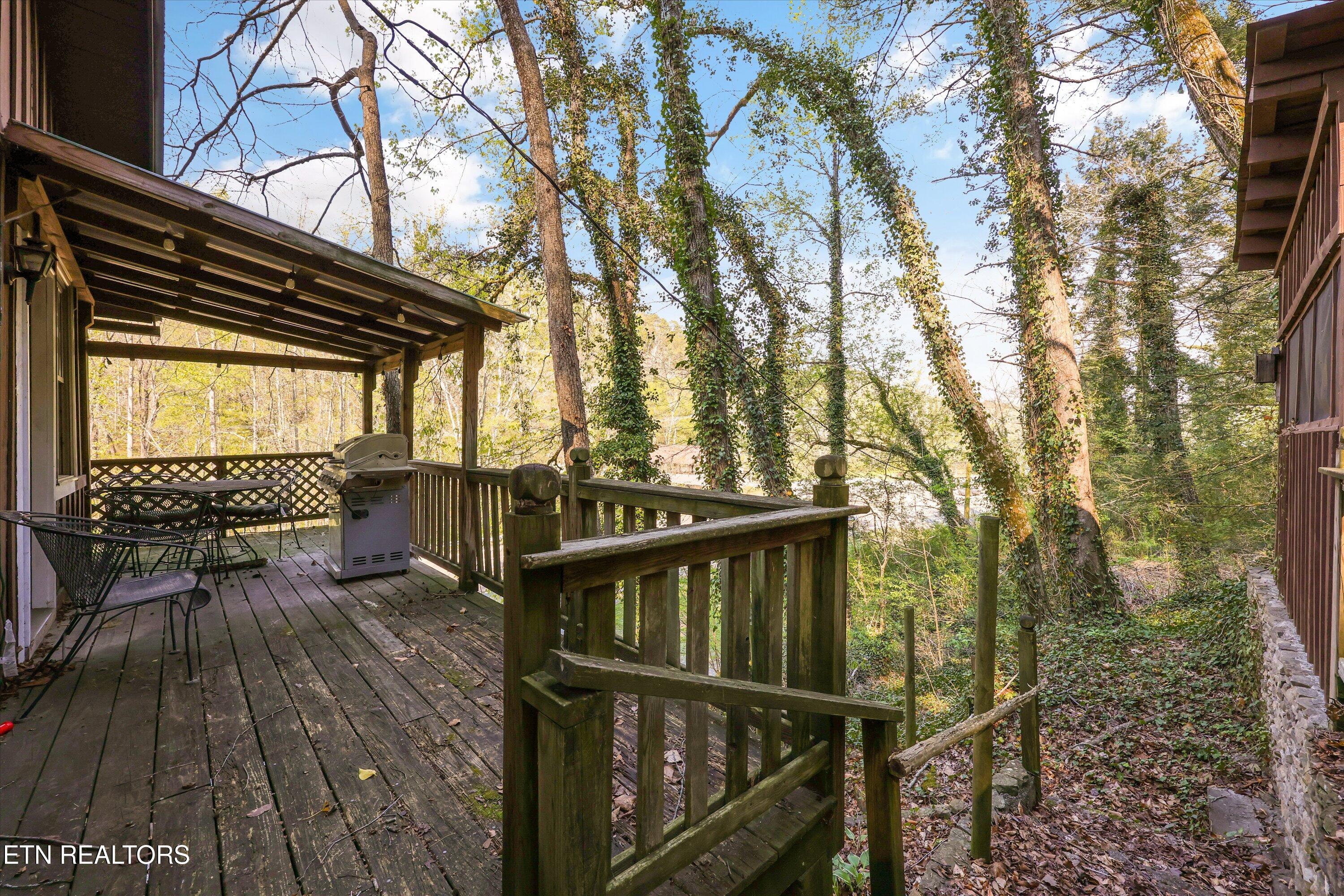 107 Mt Luke Road Townsend, TN 37882 - Photo 8 of 41 Back Porch Exterior View
