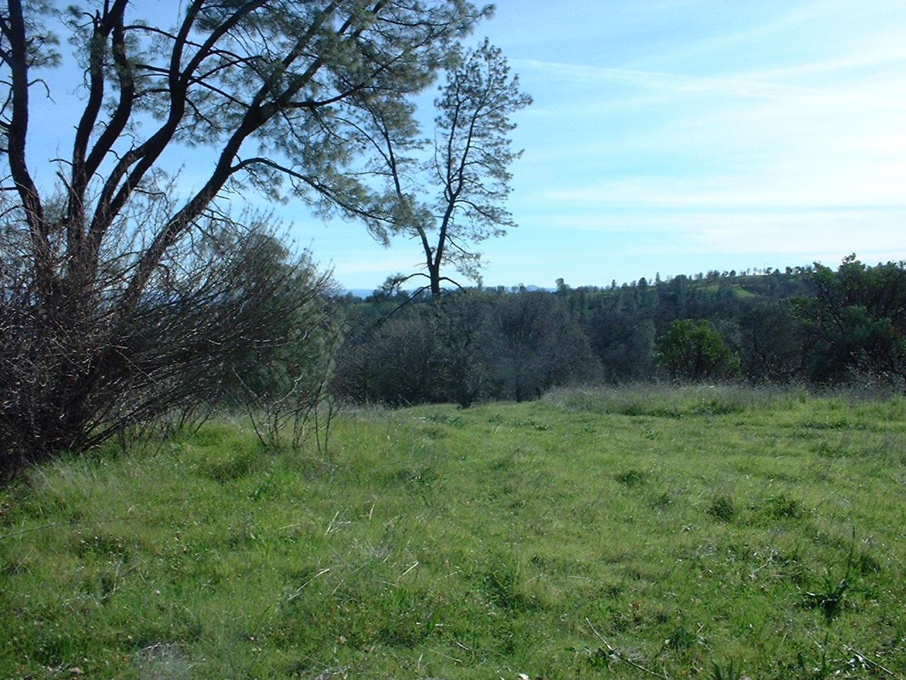 4587 Peaceful Ridge Road Redding, CA 96001 - Photo 4 of 6 a view of a lush green space
