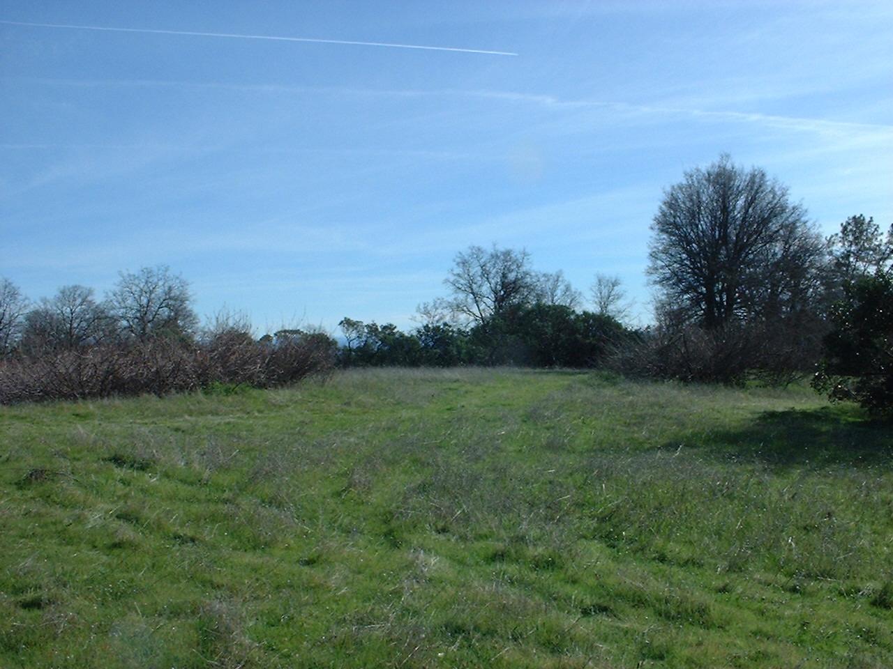 4587 Peaceful Ridge Road Redding, CA 96001 - Photo 5 of 6 a view of a field of grass and trees