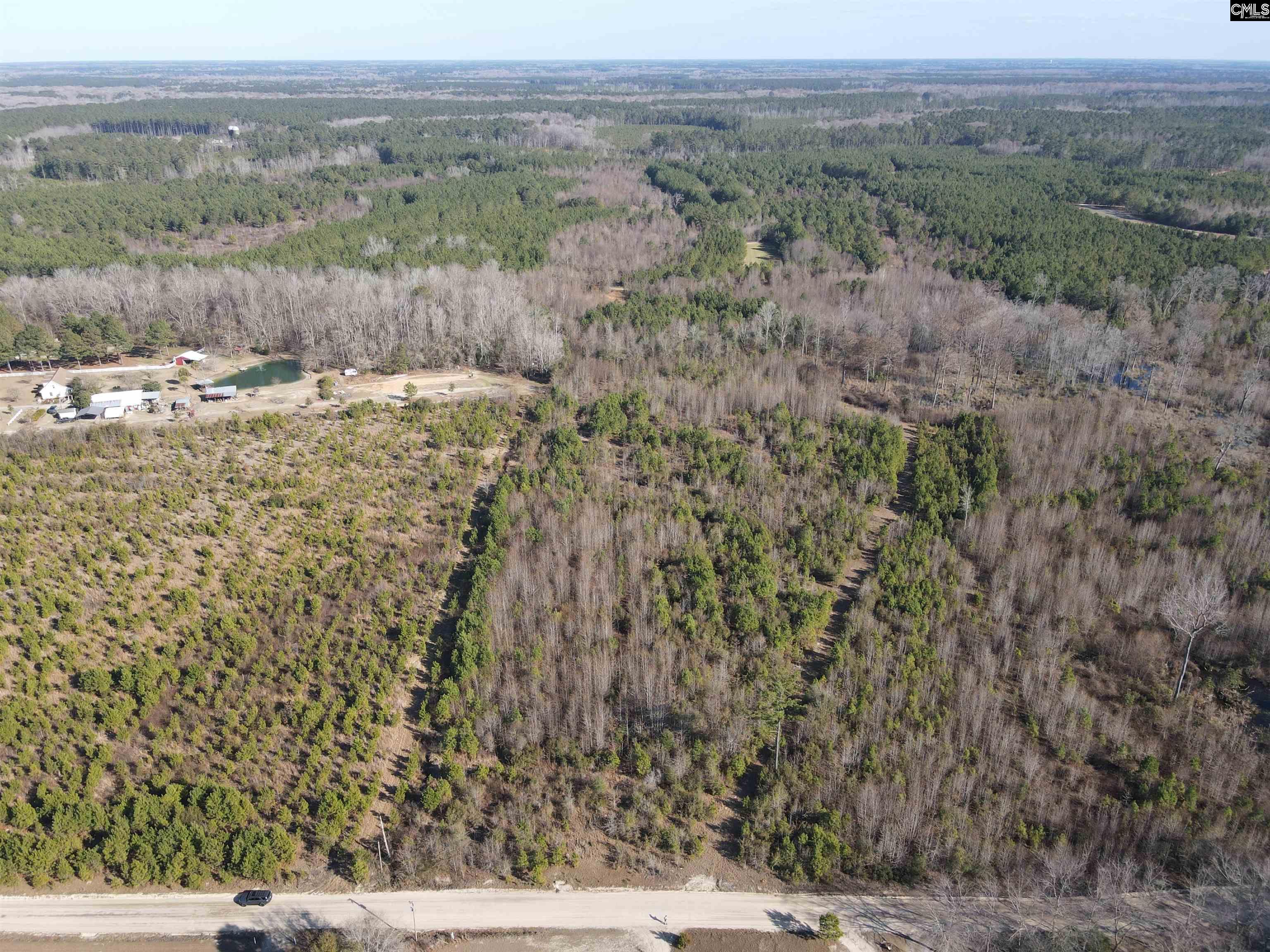 0 Proctor Road Cope, SC 29038 - Photo 2 of 11