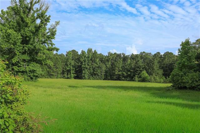 653 Ebenezer Cemetery Road Leesville, LA 71446 - Photo 24 of 30