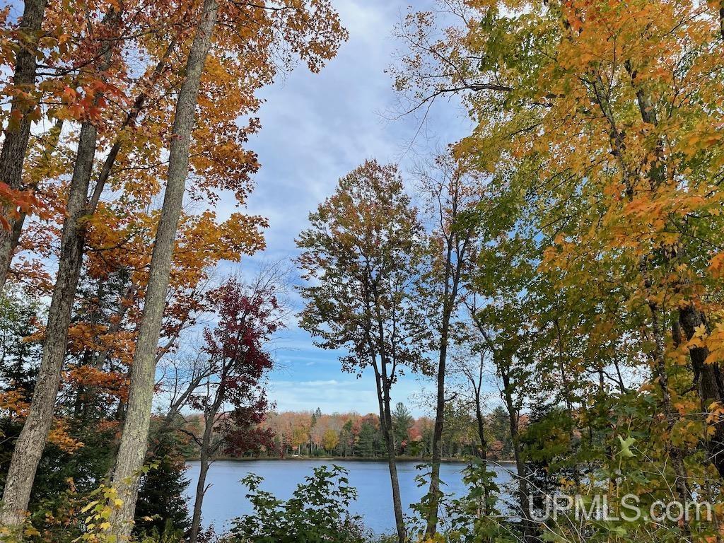 47-13 Carpenter Lake Road Seney, MI 49883 - Photo 2 of 18