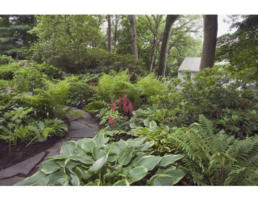 57 Fisher Road Arlington, MA 02476 - Photo 18 of 18 Gallery Image 18