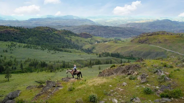 $1,050,000 | 734 Tunk Creek Road, Riverside, WA 98849