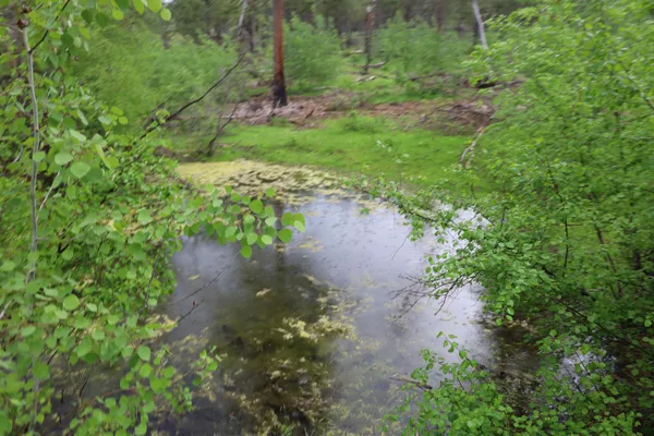 $1,050,000 | 734 Tunk Creek Road, Riverside, WA 98849