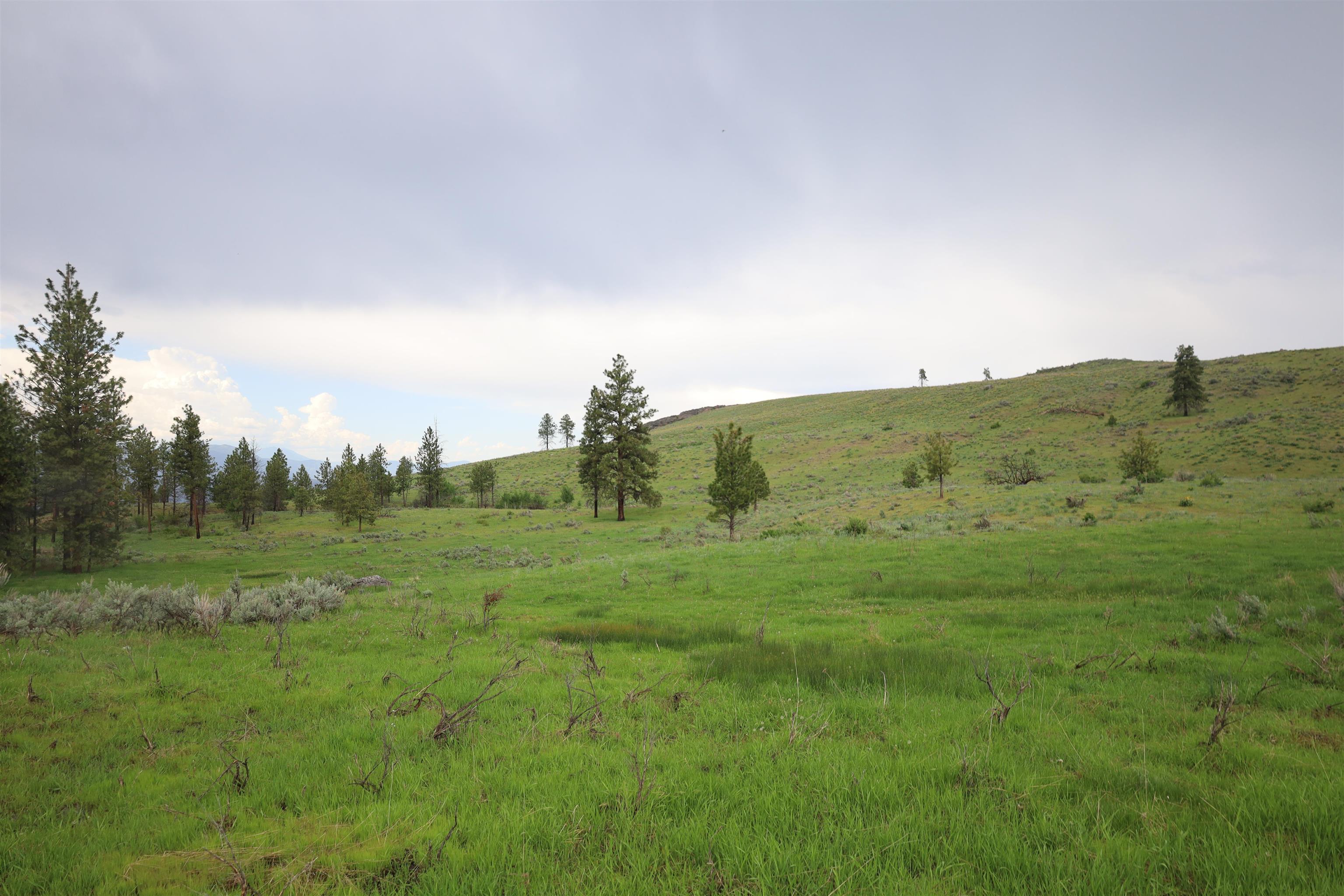 734 Tunk Creek Road Riverside, WA 98849 - Photo 40 of 43