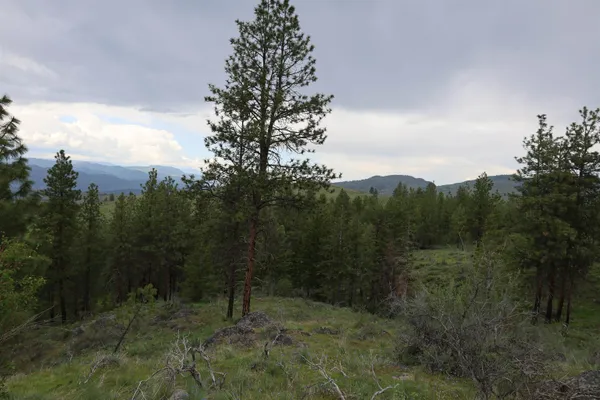 $1,050,000 | 734 Tunk Creek Road, Riverside, WA 98849