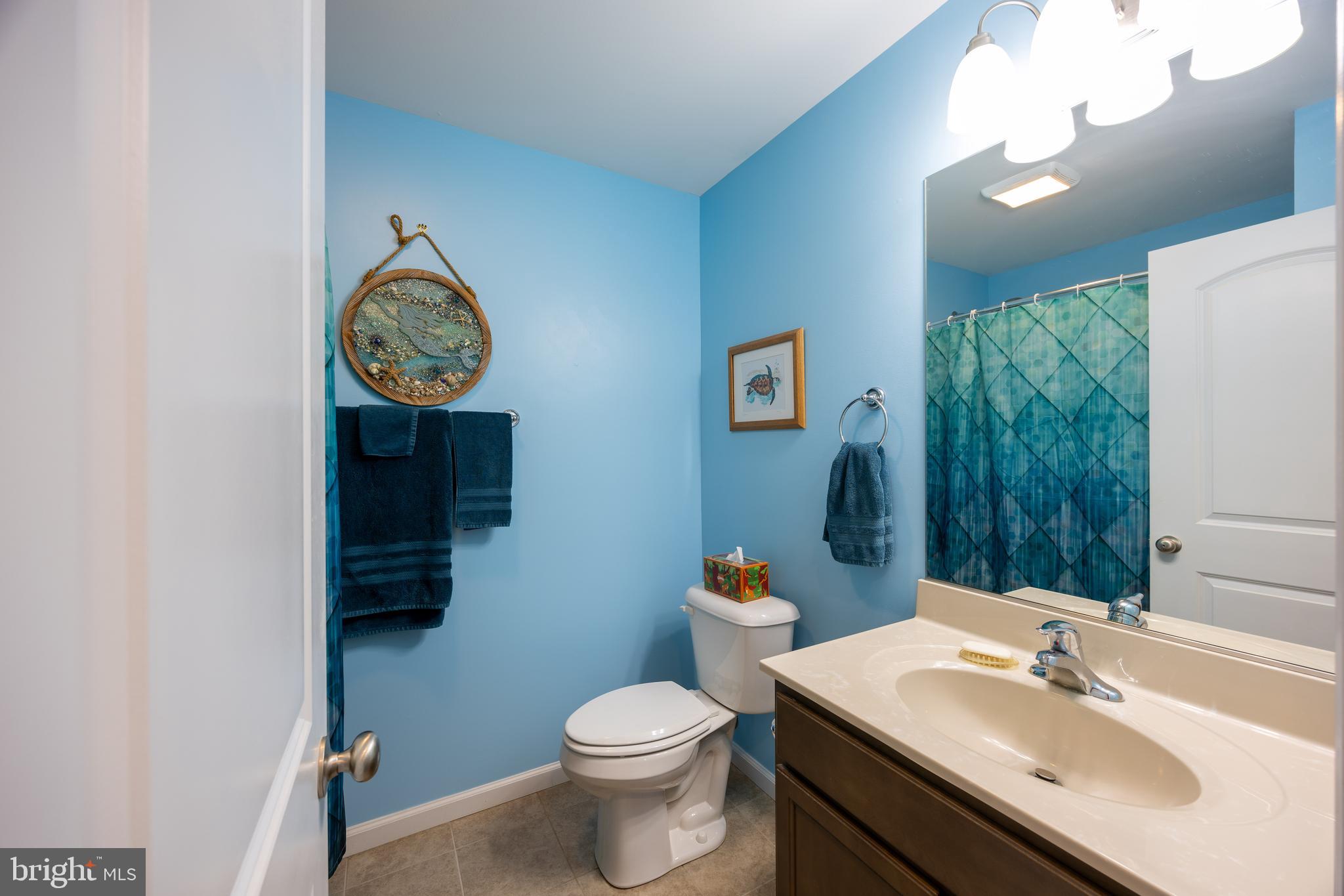 197 Catch Release Court Inwood, WV 25428 - Photo 26 of 53 Hall bath is attractively appointed