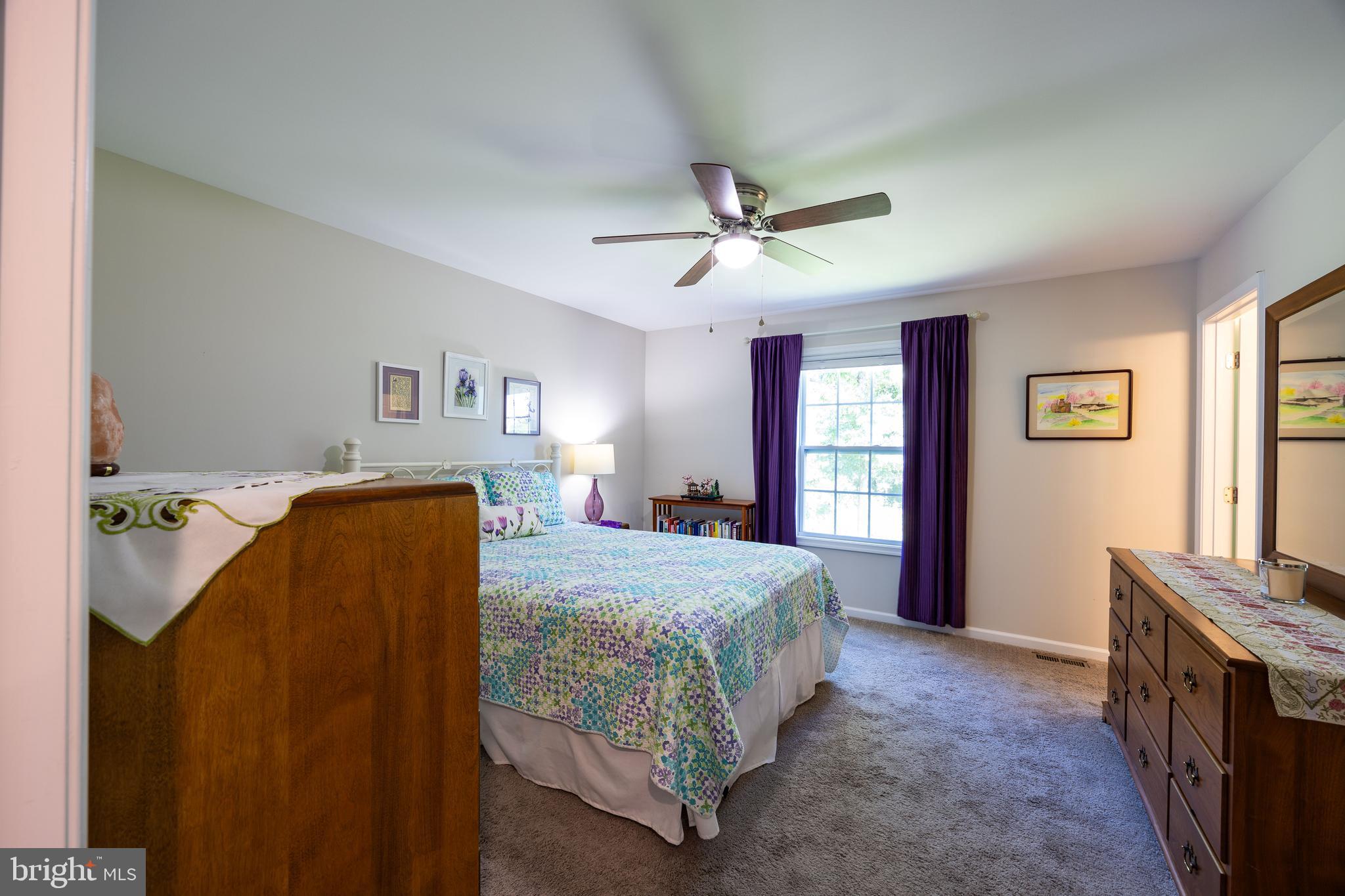 197 Catch Release Court Inwood, WV 25428 - Photo 34 of 53 Primary suite offers a ceiling fan