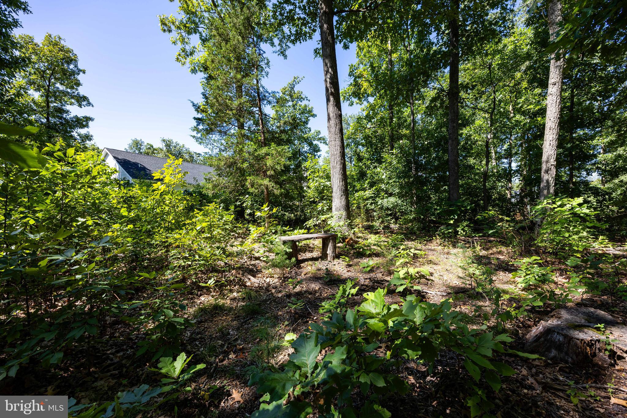 197 Catch Release Court Inwood, WV 25428 - Photo 45 of 53 Backs to a treed area for privacy