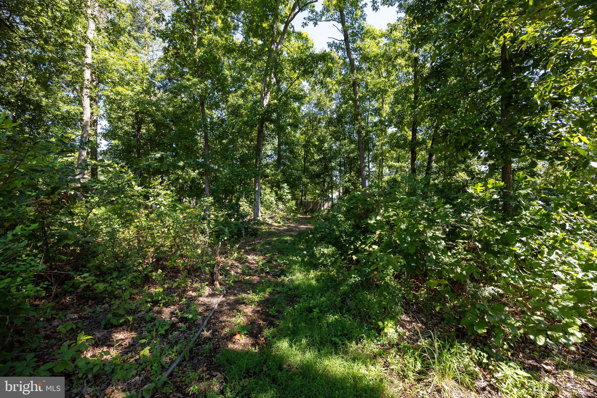 197 Catch Release Court Inwood, WV 25428 - Photo 49 of 53 Cleared walking path