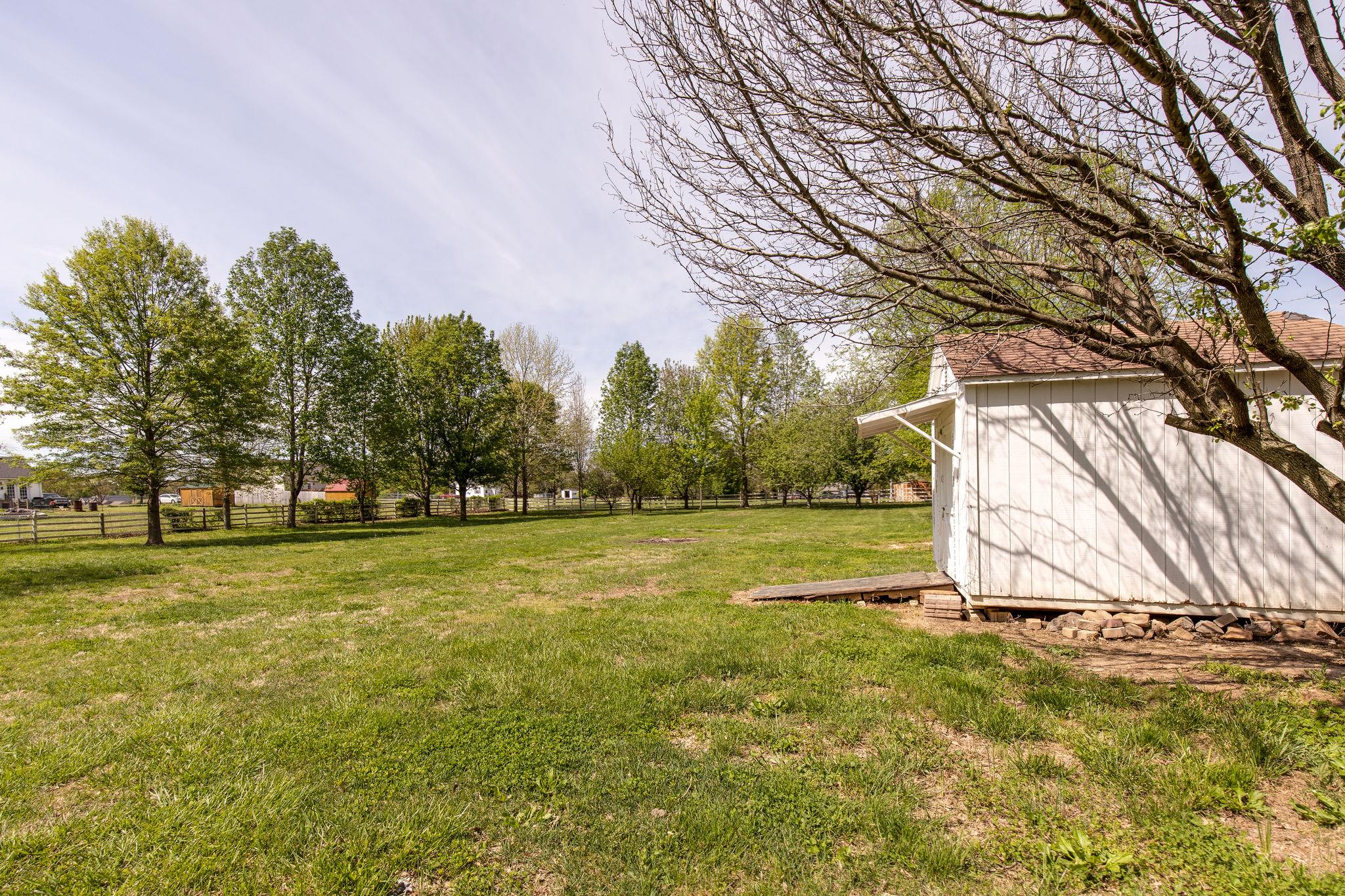 349 Lear Road Portland, TN 37148 - Photo 19 of 24 a view of a field with a tree