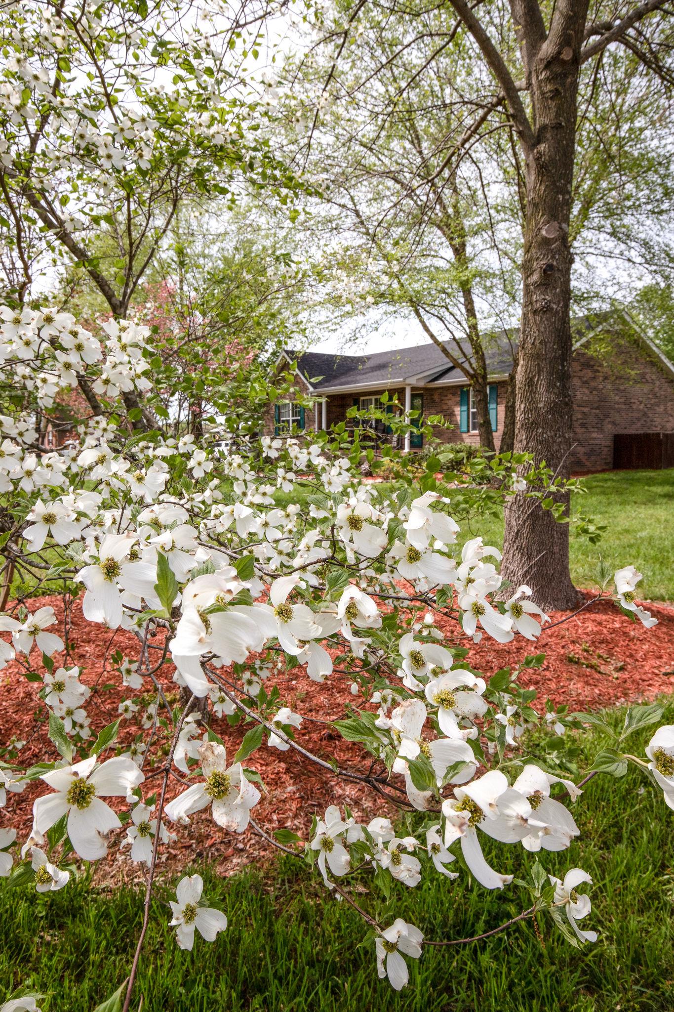 349 Lear Road Portland, TN 37148 - Photo 24 of 24 a front view of a house with garden