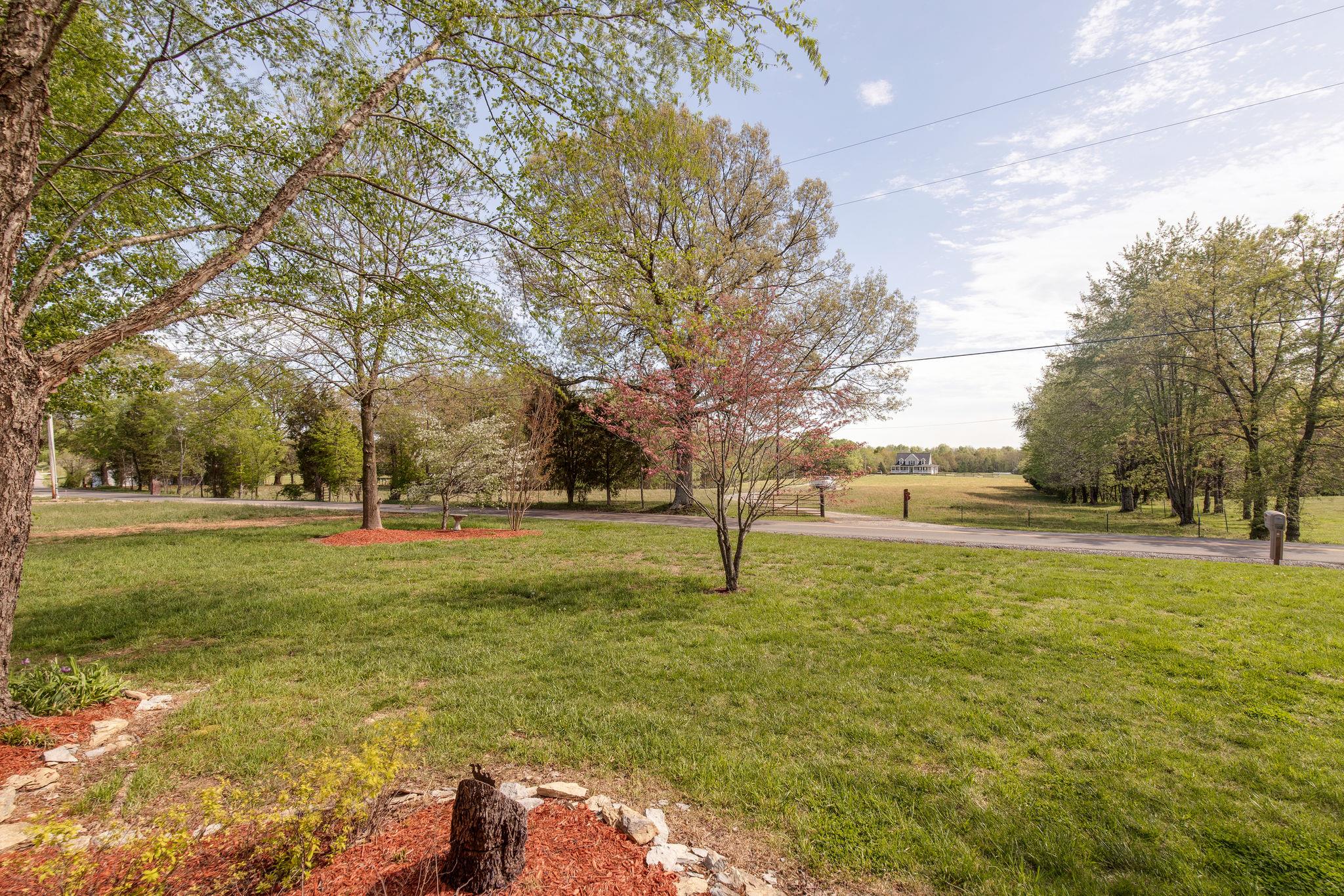 349 Lear Road Portland, TN 37148 - Photo 4 of 24 a view of yard with trees