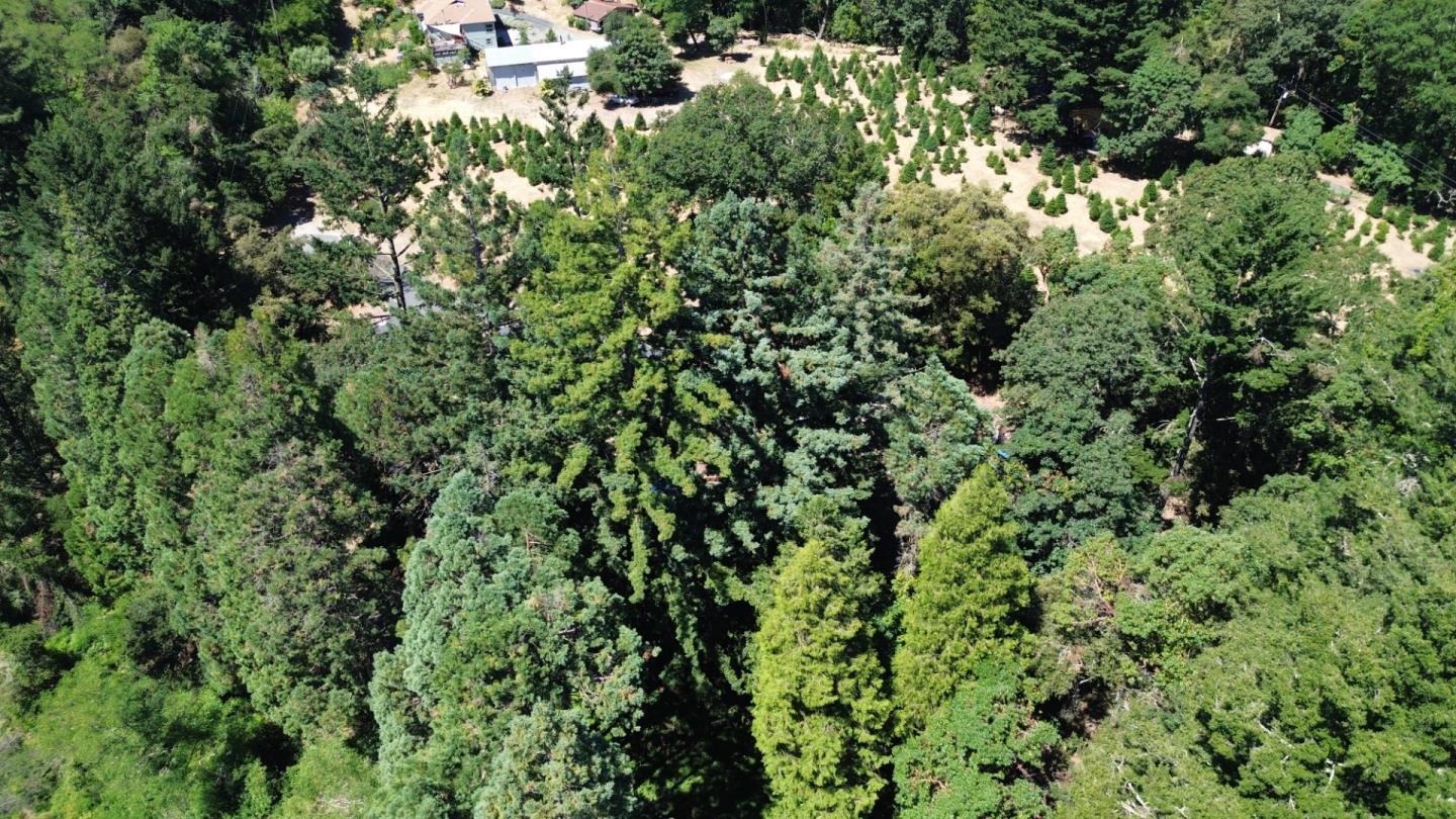 21670 Summit Road Los Gatos, CA 95033 - Photo 6 of 10 Gallery Image 6