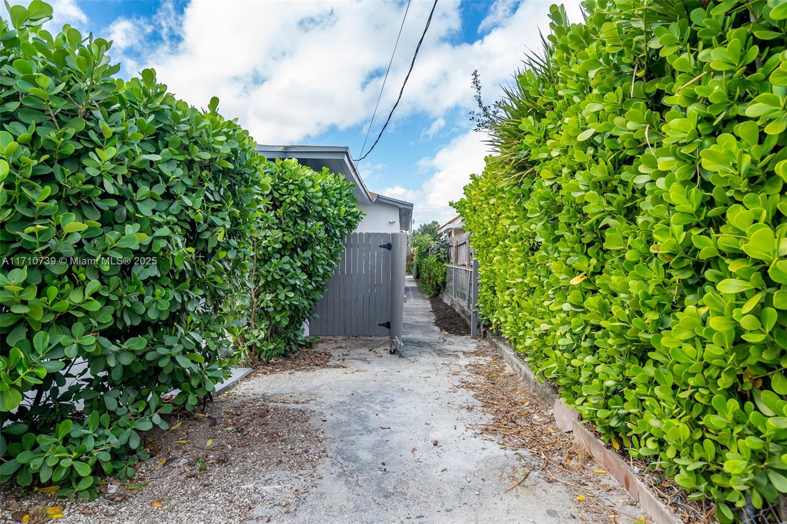 2230 Southwest 60th Court Miami, FL 33155 - Photo 5 of 64 a backyard of a house with lots of green space