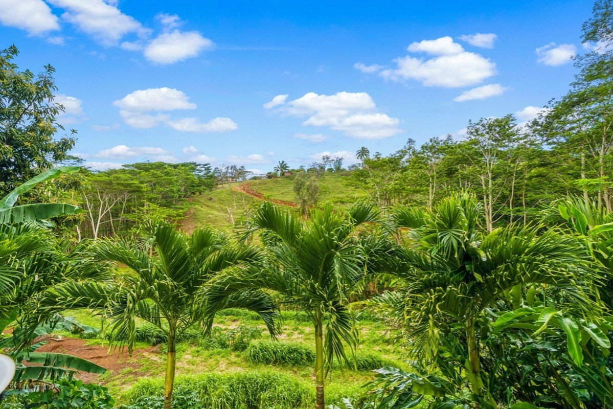 3877 D Omao Road, Unit 2 Koloa, HI 96756 - Photo 14 of 16 Gallery Image 14