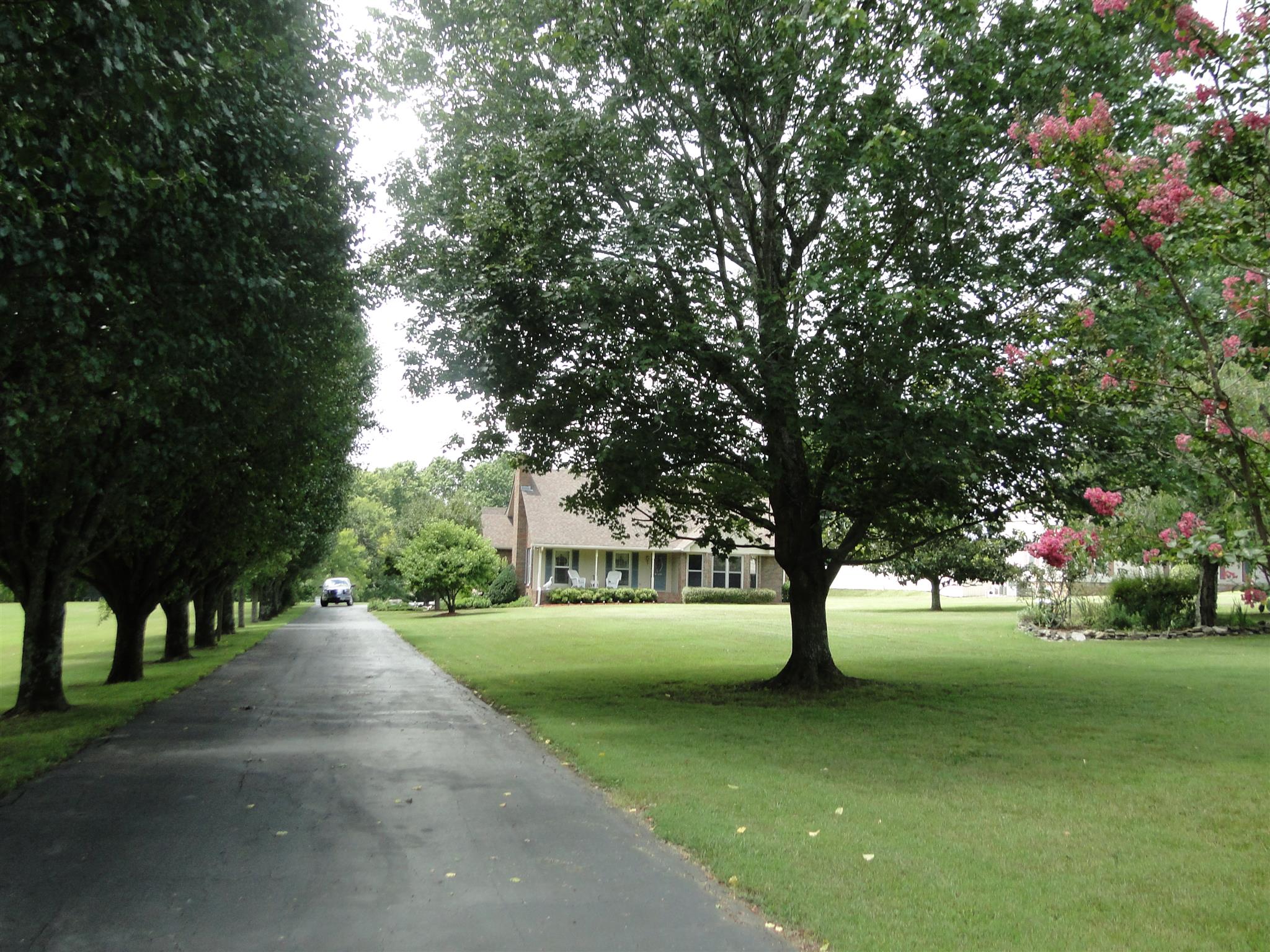 2500 Greens Mill Road Columbia, TN 38401 - Photo 3 of 28 Gallery Image 3