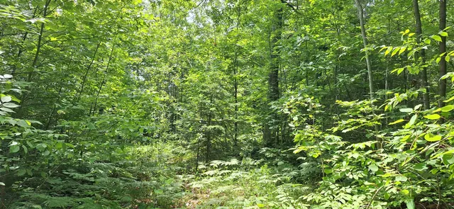 $84,900 | Lot Z Apple Hill Road, Bayfield, WI 54814
