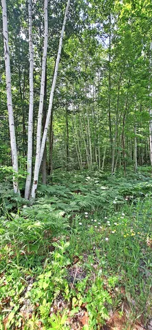 $84,900 | Lot Z Apple Hill Road, Bayfield, WI 54814