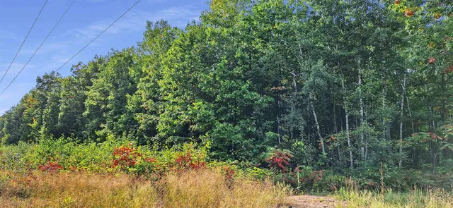 $84,900 | Lot Z Apple Hill Road, Bayfield, WI 54814