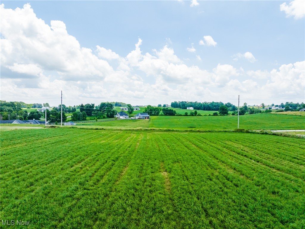 Nonpariel Road Wooster, OH 44691 - Photo 15 of 25 View of property's community with a view of rural / pastoral area and a lawn