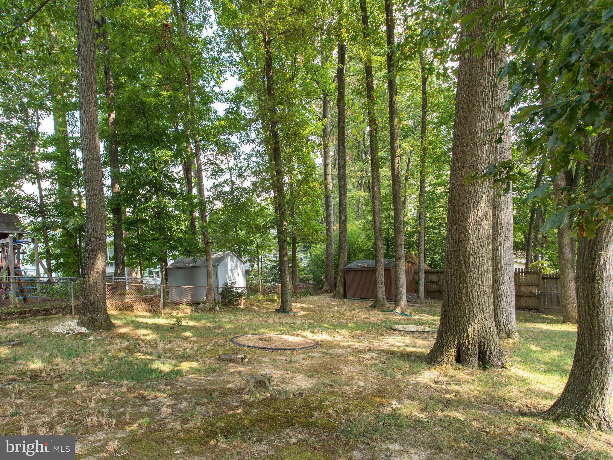 6215 Greeley Boulevard Springfield, VA 22152 - Photo 23 of 23 Exterior (Rear)
