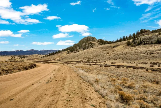 a view of a dry yard