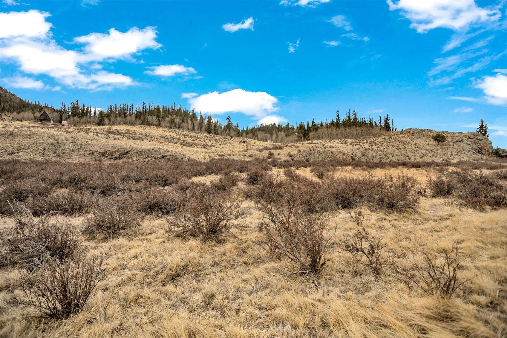 1950 Travois Road Como, CO 80456 - Photo 20 of 35 a view of a yard with a tree