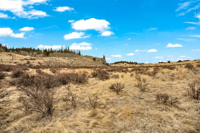 a view of ocean view with large trees