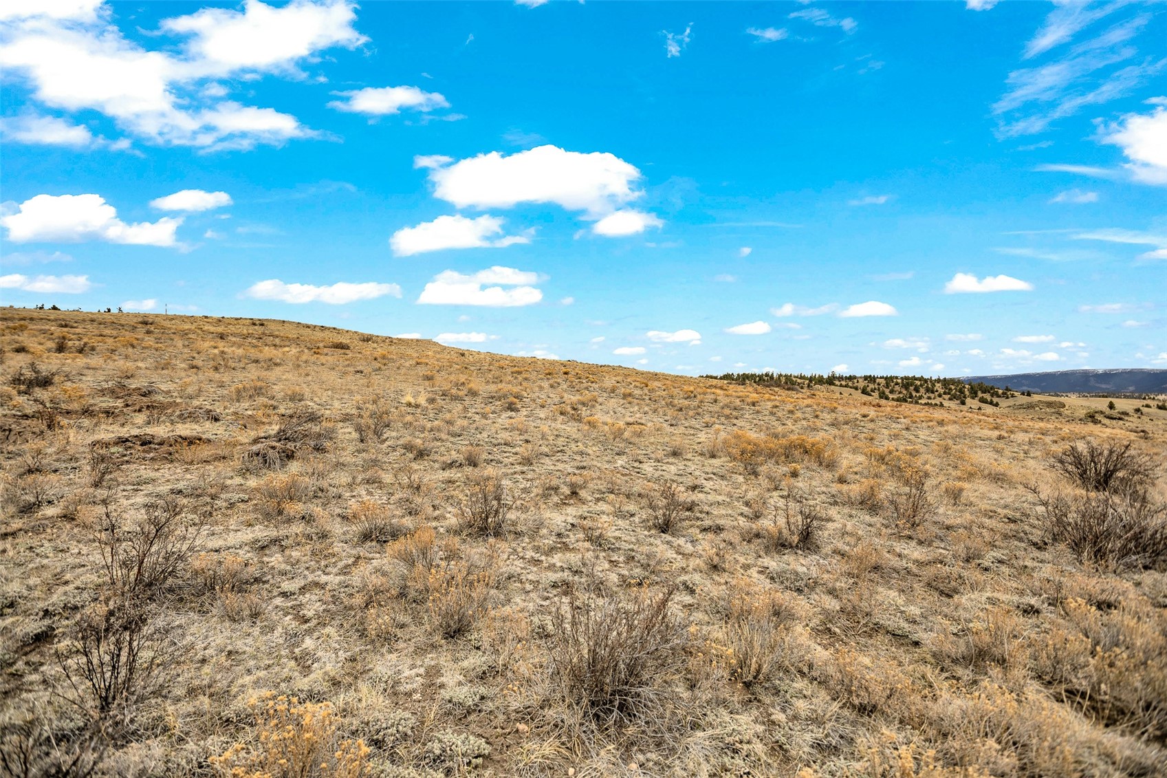 1950 Travois Road Como, CO 80456 - Photo 23 of 35 a view of beach and ocean