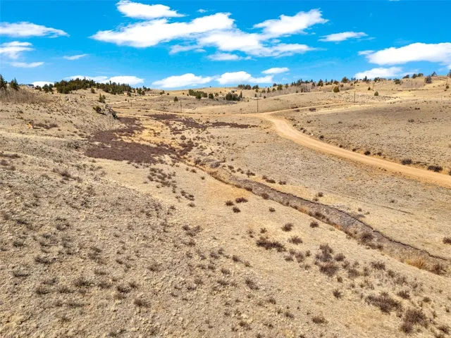 a view of a dry yard with wooden fence